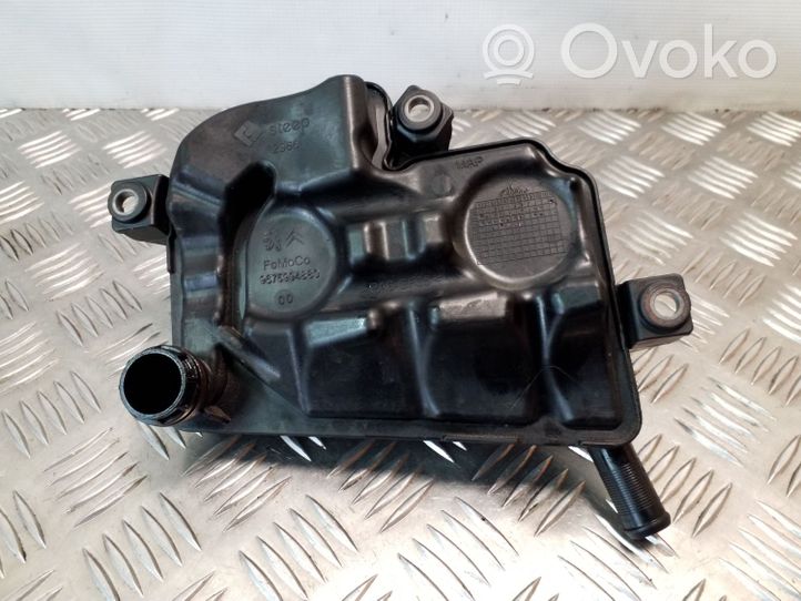 Jaguar XF X250 Separatore dello sfiato dell’olio 9675994880