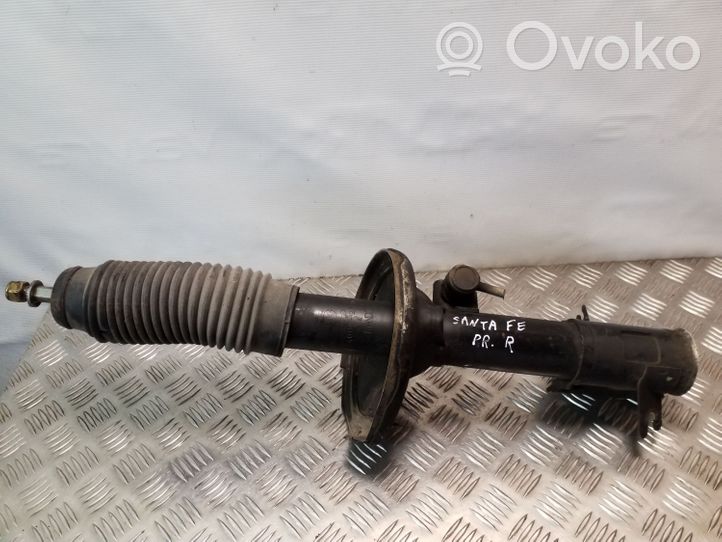 Hyundai Santa Fe Ammortizzatore anteriore 5466026300