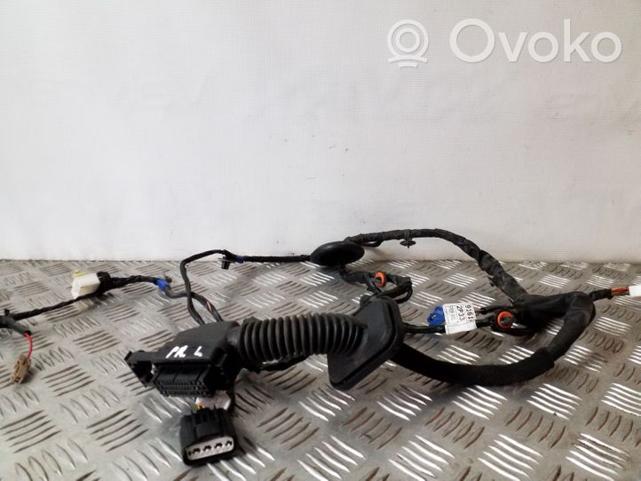 KIA Sorento Cablaggio porta anteriore 916102P330