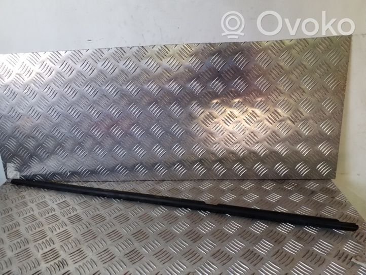 BMW 1 F20 F21 Rivestimento modanatura del vetro della portiera posteriore 