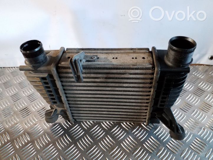 Nissan Juke I F15 Chłodnica powietrza doładowującego / Intercooler 14461EM00A