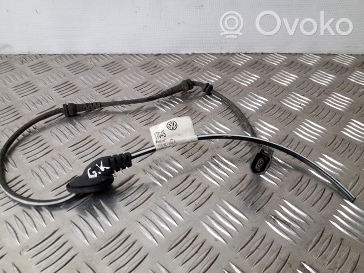 Volkswagen Touran II Cablaggio del sensore posteriore ABS 1T0927904S