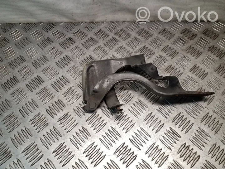 Opel Antara Cerniere del vano motore/cofano 