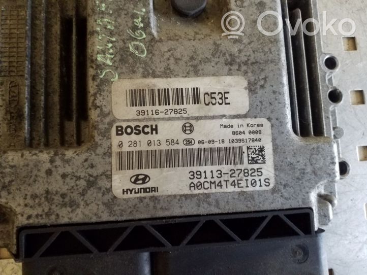 Hyundai Santa Fe Sterownik / Moduł ECU 3911327825