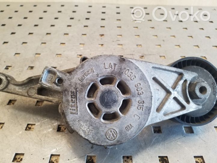 Volkswagen Transporter - Caravelle T5 Napinacz paska alternatora 03G903315C