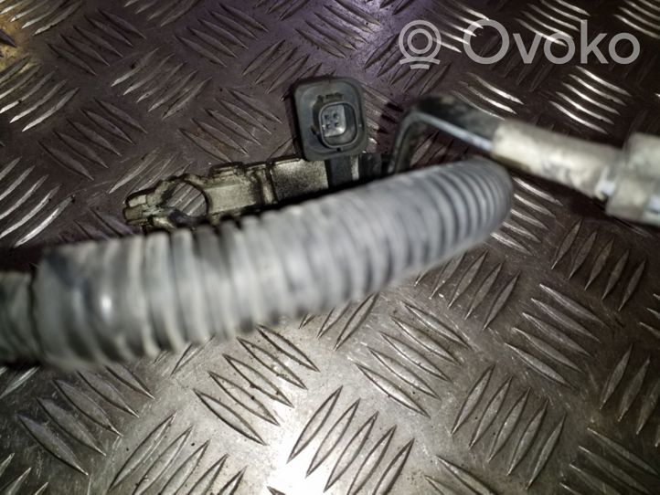 Toyota Avensis T270 Cable negativo de tierra (batería) 8281505270