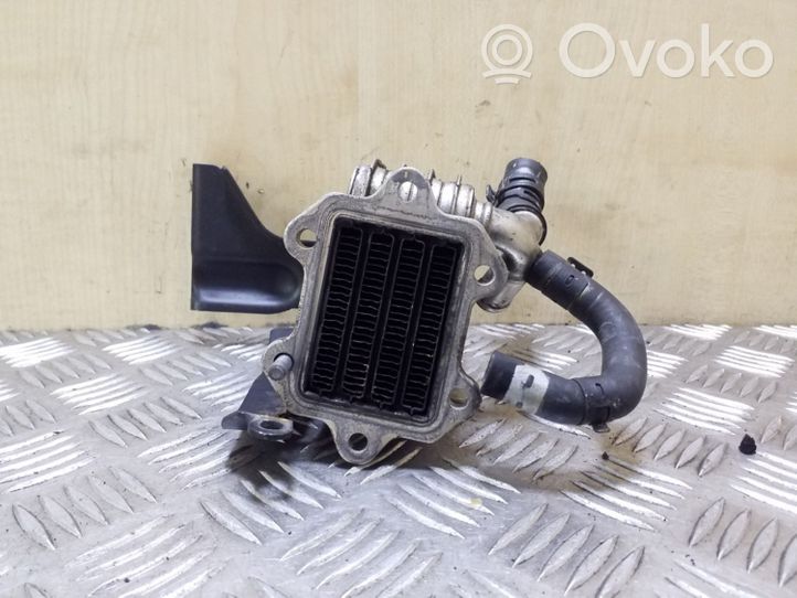 Audi A6 S6 C6 4F EGR aušintuvas 059131512H