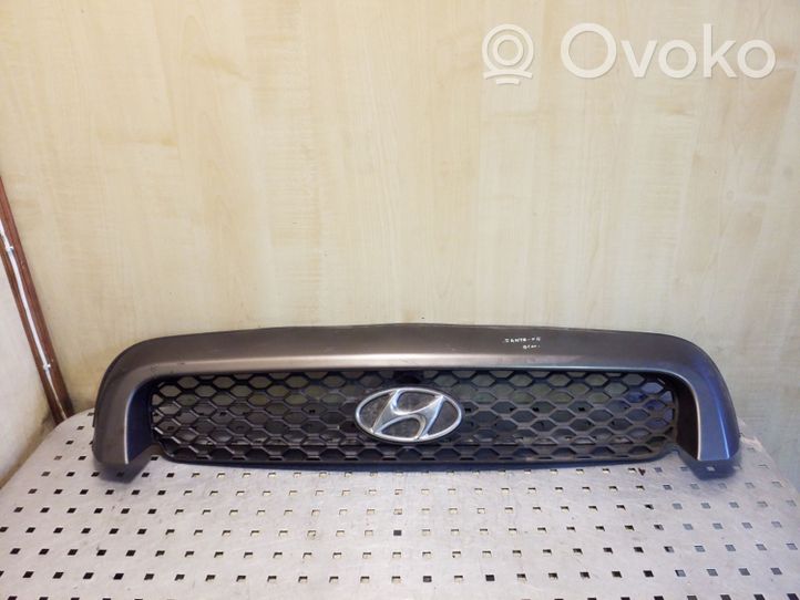 Hyundai Santa Fe Grotelės viršutinės 8635126900