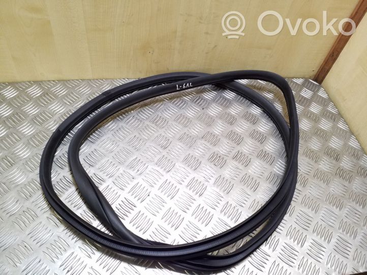 Hyundai i40 Rear door rubber seal (on body) 