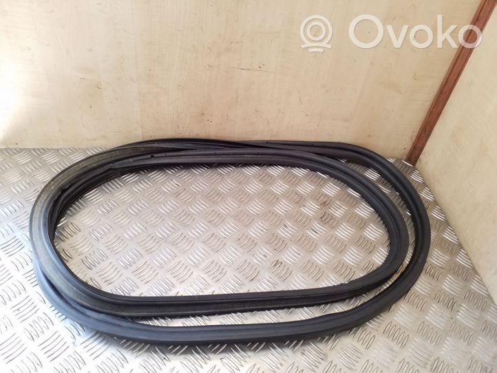 Opel Antara Loading door rubber seal (on body) 