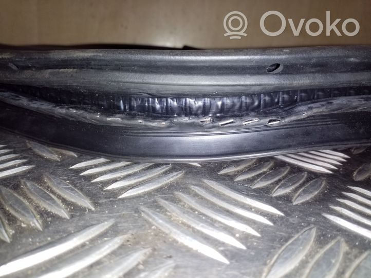 Ford Kuga II Front door rubber seal 