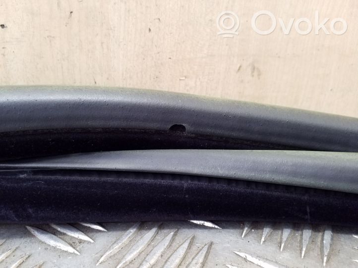 Peugeot 508 Rear door rubber seal (on body) 