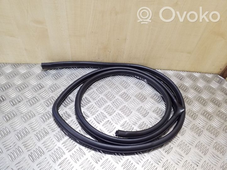 Opel Antara Rear door rubber seal (on body) 