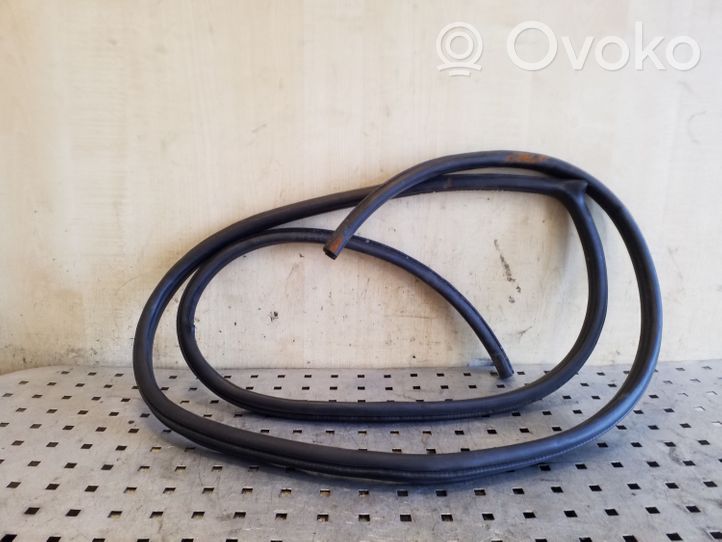 Opel Antara Front door rubber seal 