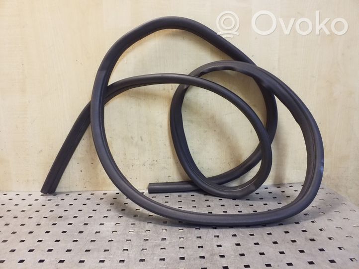 Ford Focus C-MAX Front door rubber seal 