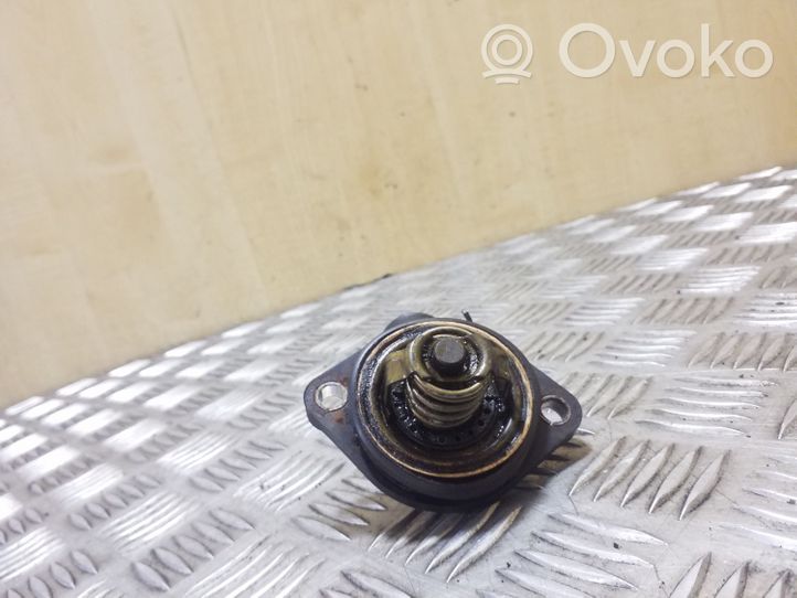 Volkswagen Golf VI Termostato/alloggiamento del termostato 03L121114B