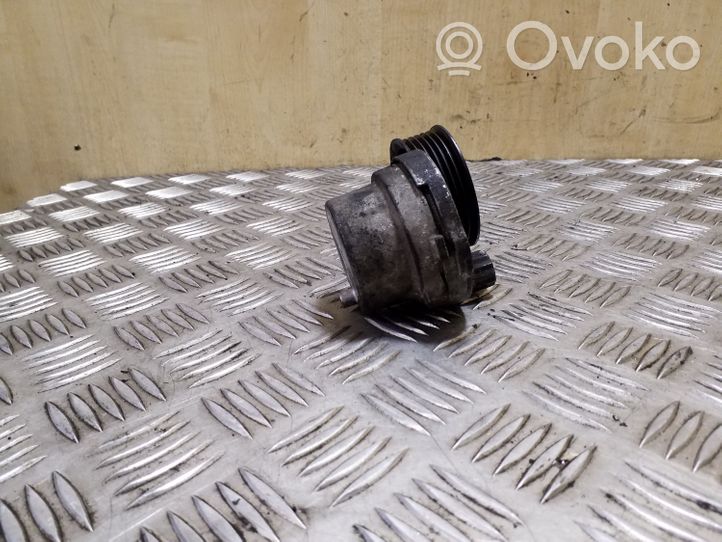 Opel Antara Generator/alternator belt tensioner 25182787