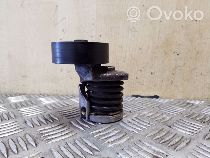 Volkswagen PASSAT B7 Tensor de correa del alternador 038903315AH