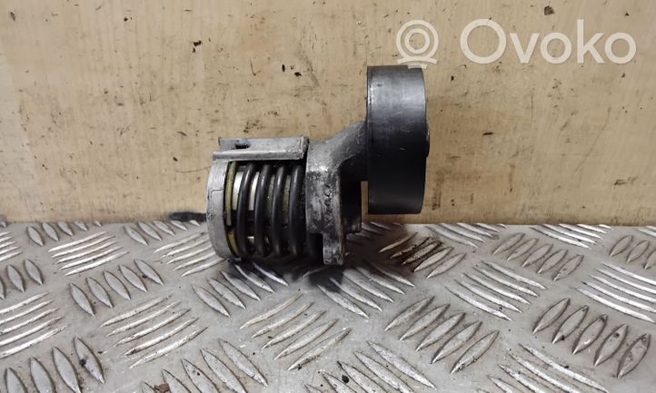 Volkswagen Polo IV 9N3 Generator/alternator belt tensioner 038903315