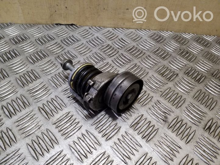 Volkswagen Eos Napinacz paska alternatora 03C145299AC