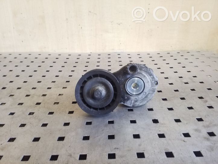 Chevrolet Captiva Napinacz paska alternatora 25182787