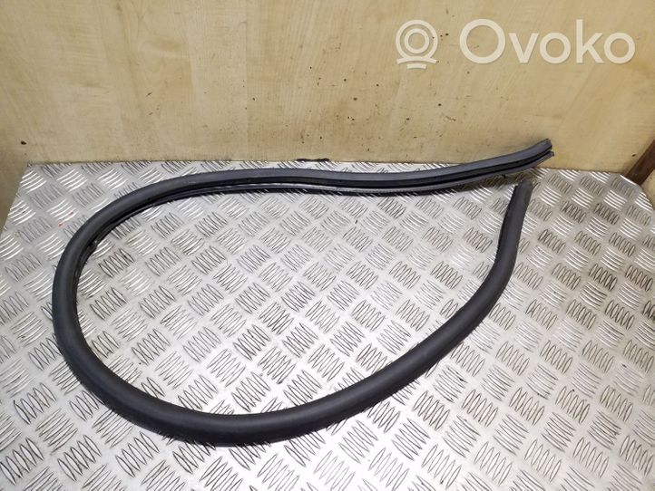 Volkswagen PASSAT CC Rear door rubber seal (on body) 3C8867913