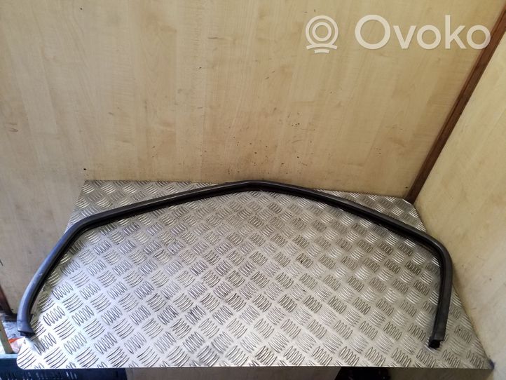 Renault Trafic II (X83) Rivestimento modanatura del vetro della portiera anteriore 