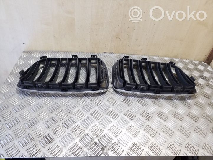 BMW X3 F25 Front bumper upper radiator grill 51117210726