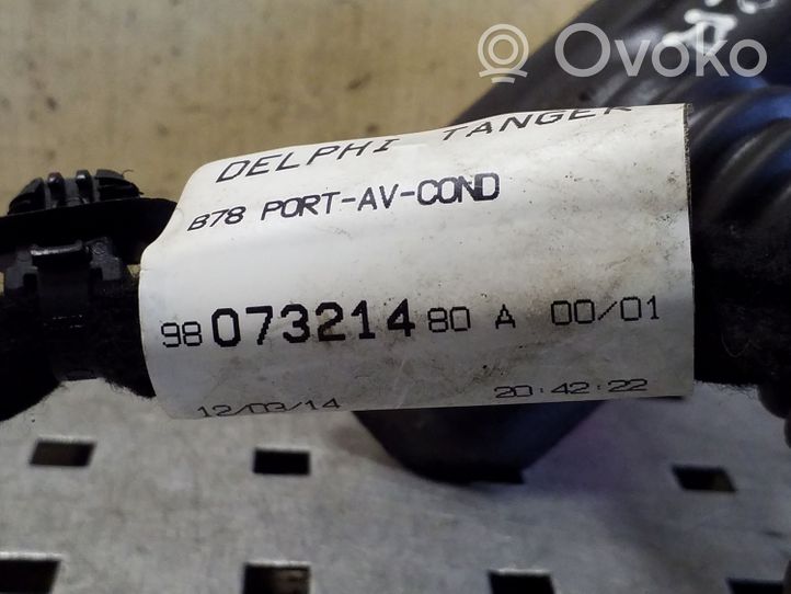 Citroen C4 Grand Picasso Faisceau de câblage de porte avant 9807321480