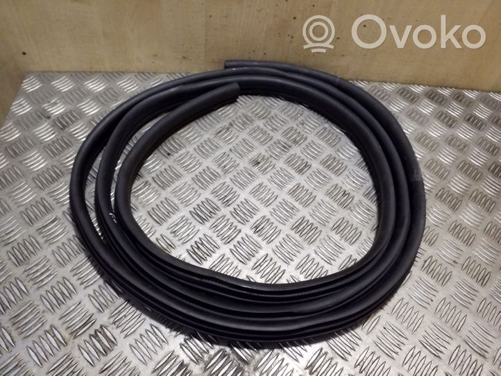 Renault Trafic III (X82) Front door rubber seal 