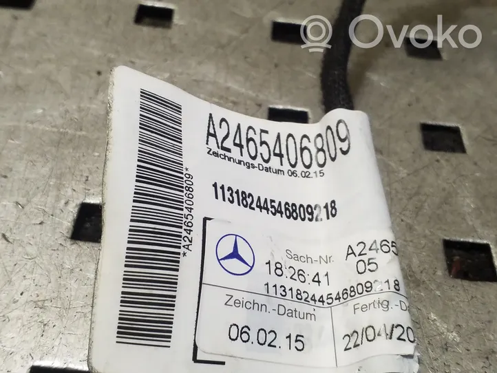 Mercedes-Benz B W246 W242 Galinių durų instaliacija A2465406809