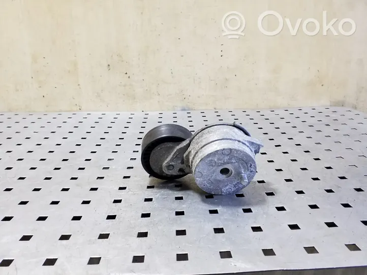 Porsche Cayenne (92A) Napinacz paska alternatora 059903133J