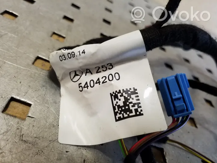 Mercedes-Benz GLC X253 C253 Cableado de puerta delantera A2535404200