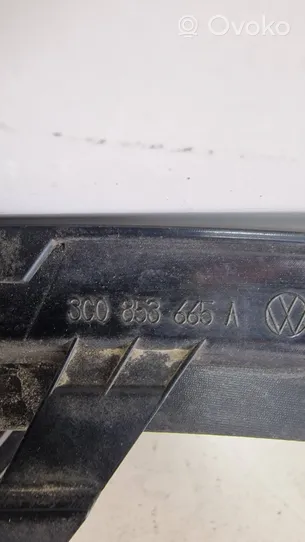 Volkswagen PASSAT B6 Priešrūkinio žibinto apdaila/ grotelės 3C0853665A
