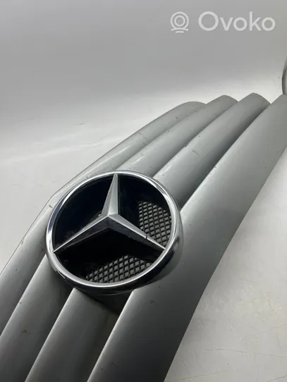 Mercedes-Benz B W245 Верхняя решётка A1698800183