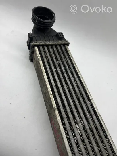 Mercedes-Benz B W245 Radiatore intercooler A1695000000