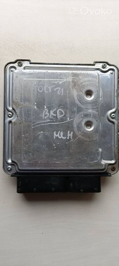 Skoda Octavia Mk2 (1Z) Variklio valdymo blokas 03G906016HF