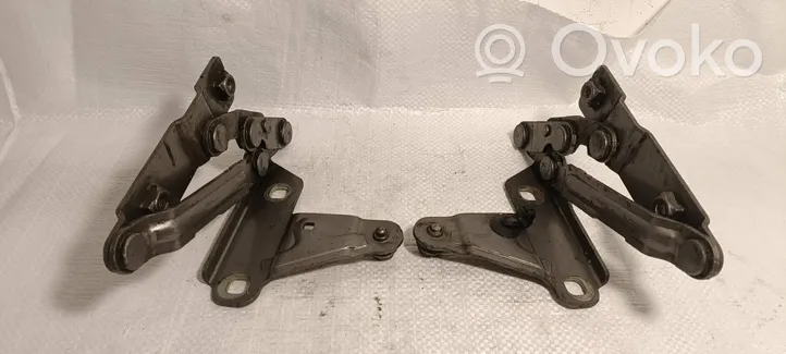 Seat Altea Cerniere del vano motore/cofano 5P0823301B