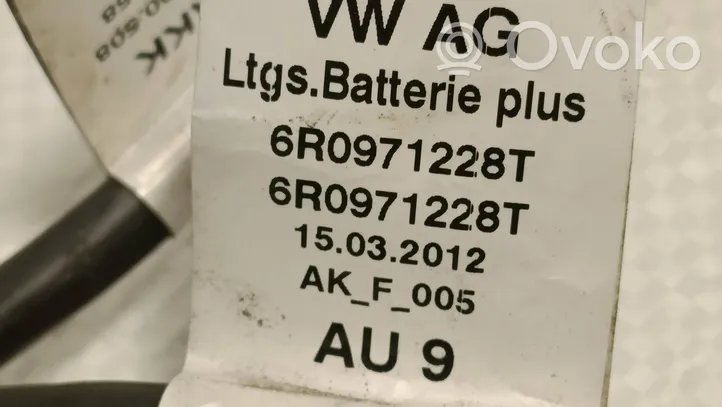 Audi A1 Laidai (generatoriaus) 6R0971349AR