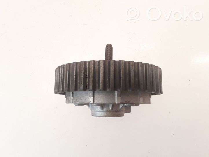 Renault Modus Puleggia dell’albero a camme/VANOS 622300