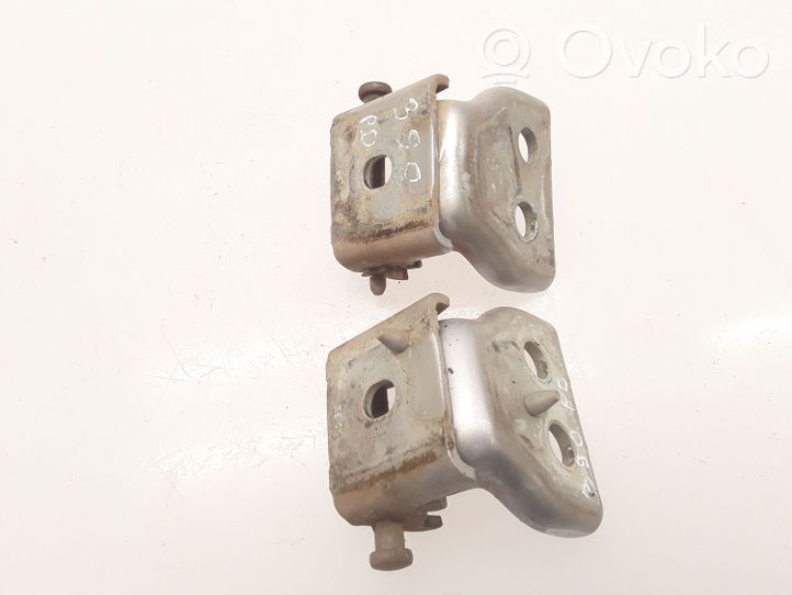 Citroen Berlingo Front door hinge set 