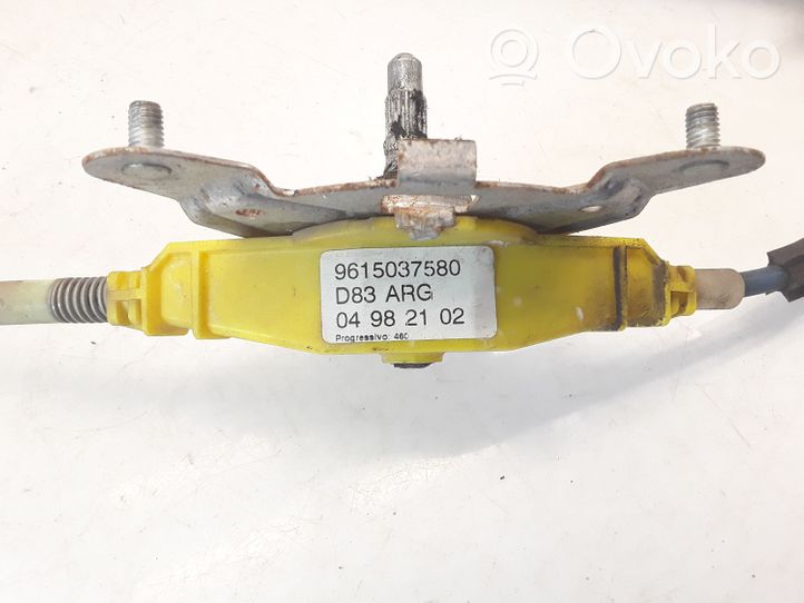 Peugeot 406 Mechaninis galinio lango pakėlimo mechanizmas 9615037580