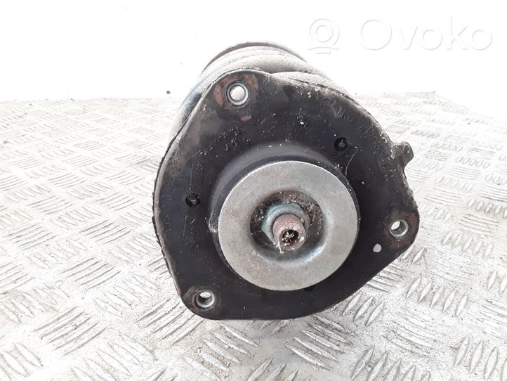 Audi A3 S3 A3 Sportback 8P Ammortizzatore anteriore con molla elicoidale 1T0413031DB