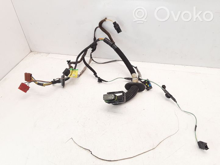 Renault Scenic I Cablaggio porta anteriore 7700284212