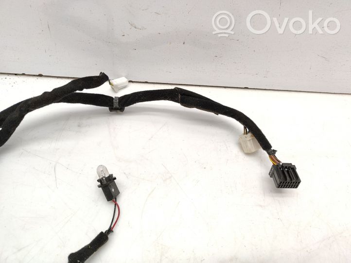 KIA Carnival Cableado de puerta delantera 916054D052