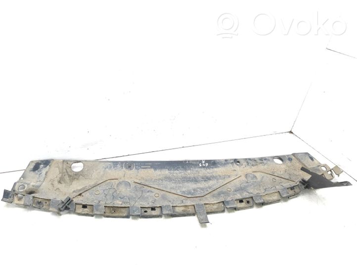 Renault Laguna II Front bumper lip G000014774