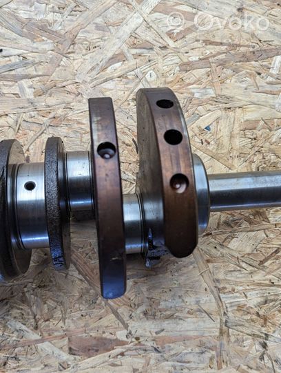 Chrysler Pacifica Crankshaft 04893948AB