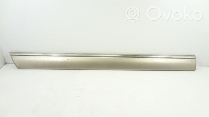 Mercedes-Benz S W220 Rear door trim (molding) 