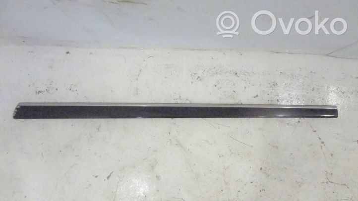 Mercedes-Benz S W220 Front door trim (molding) 