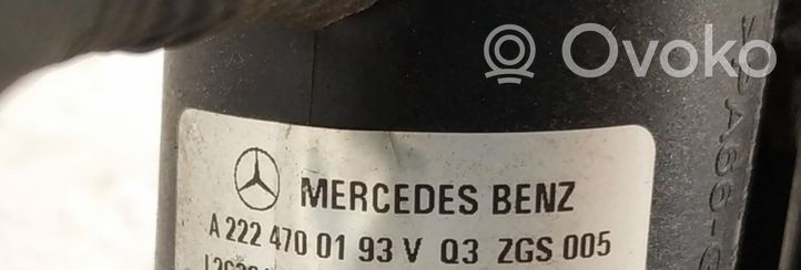 Mercedes-Benz S C217 Capteur 